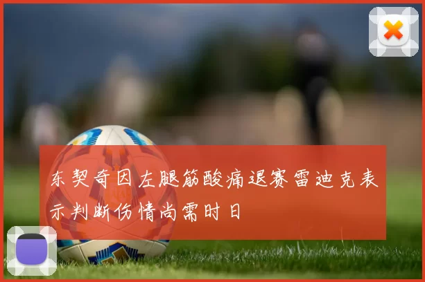 东契奇因左腿筋酸痛退赛雷迪克表示判断伤情尚需时日